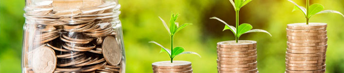 Dinero creciendo entre plantas verdes