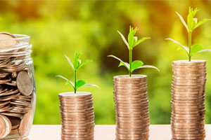 Miniatura de dinero y plantas